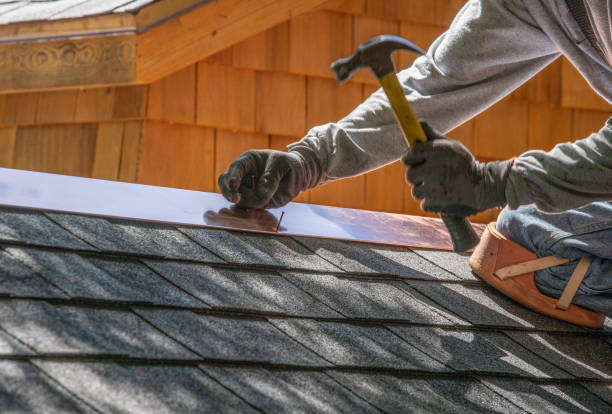 Best Gutter Replacement  in Bottineau, ND