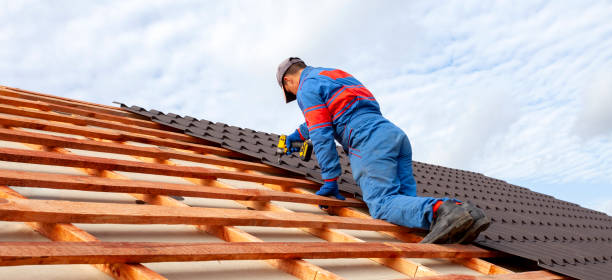 Best Emergency Roof Repair Services  in Bottineau, ND